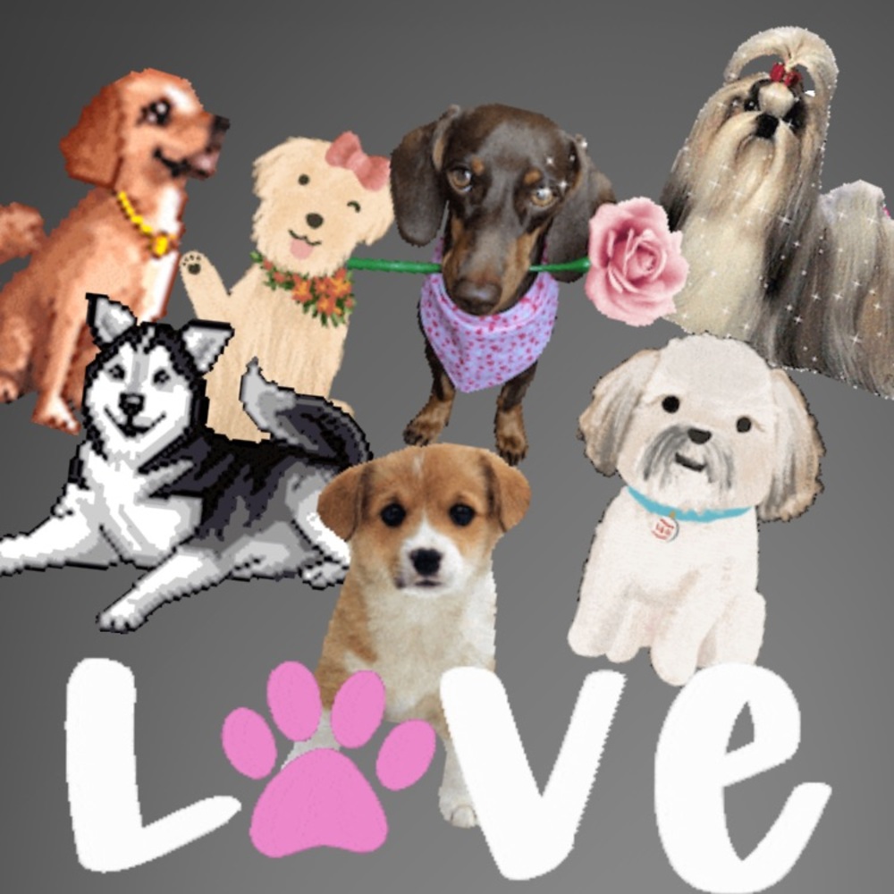 🐶🐾 WELCOME DOG LOVERS 🐶 🐾